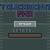 Touchdown Pro